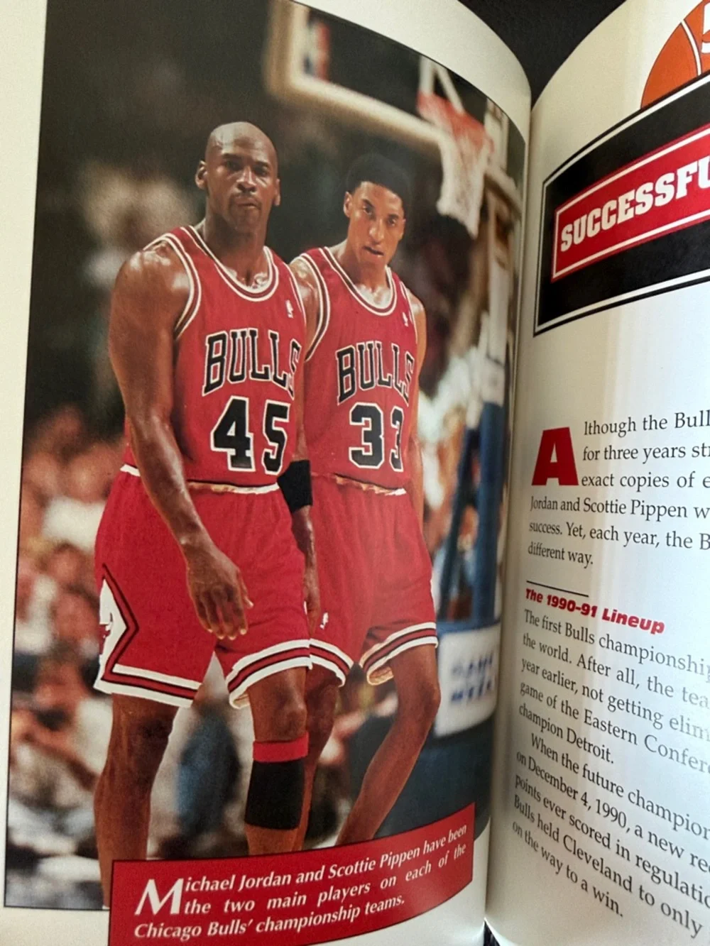 The Chicago Bulls Basketball Team Great Sports Teams series by Thomas S. Owens